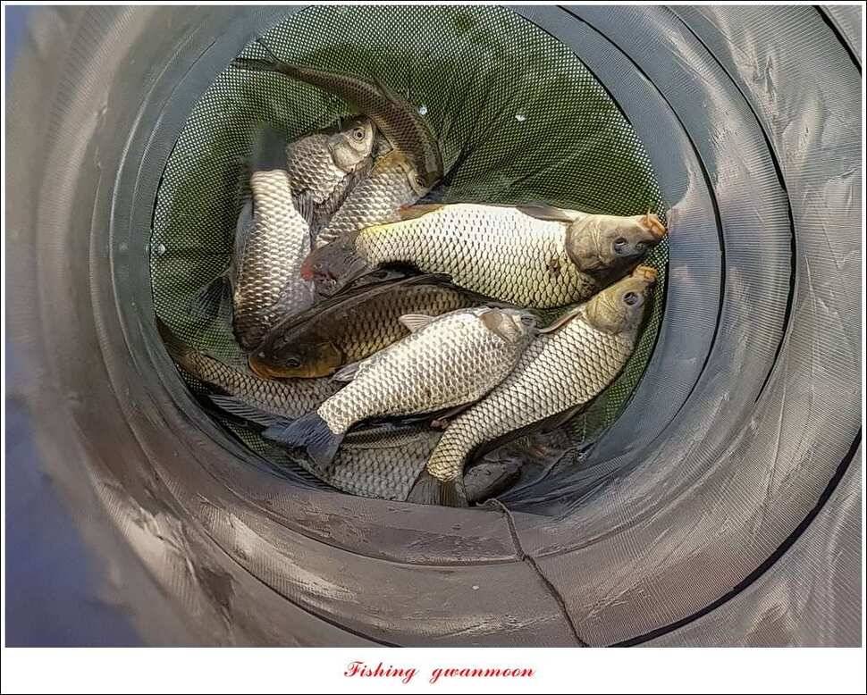 화곡지실리곡 월척매전지 사짜 조황 (조황조행기 - 특파원조황)