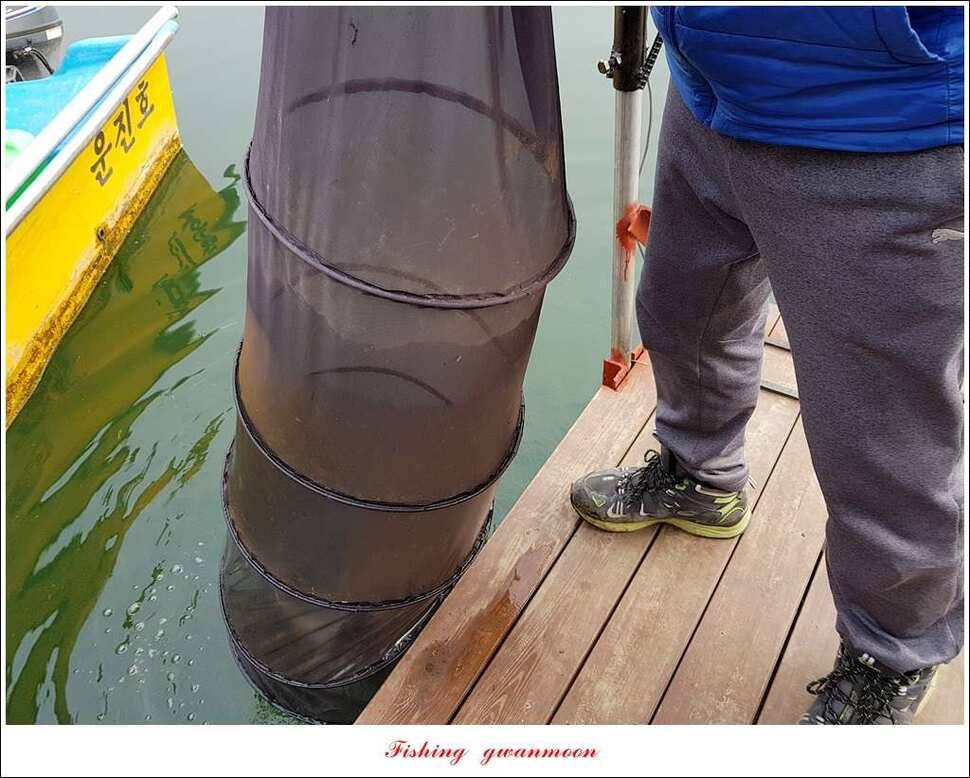 화곡지한버들돌감실리곡신매 조황 (조황조행기 - 특파원조황)