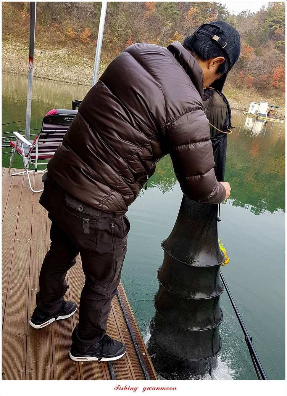 신매 허리급실리곡한버들 월척 및 마릿수 조황 (조황조행기 - 특파원조황)