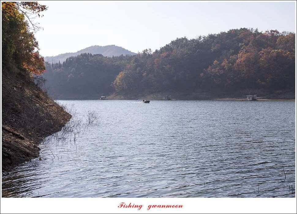신매 사짜실리곡 월척 및 마릿수 조황 (조황조행기 - 특파원조황)