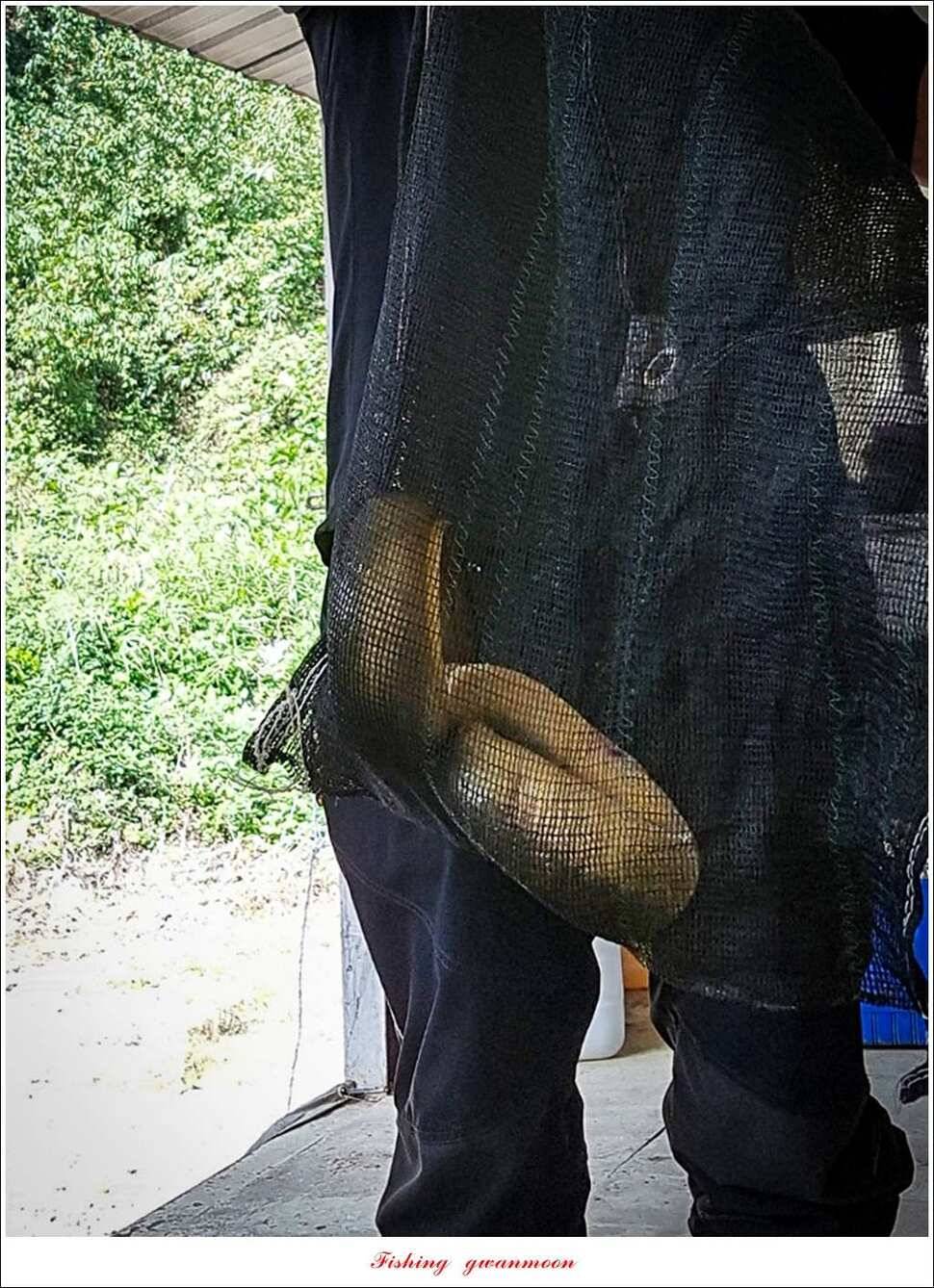윤 낚시터 41 cm 늘푸른 16 kg 장어실리곡 37 cm한버들 월척 조황 (조황조행기 - 특파원조황)