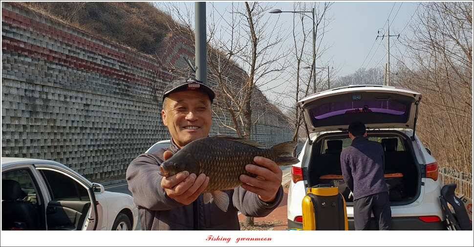화곡지 사짜 및 마릿수 월척 칠성지 조황 (조황조행기 - 특파원조황)