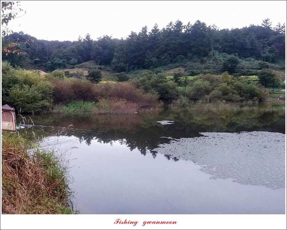 칠성지 사짜화곡지 신매 실리곡 월척 조황 (조황조행기 - 특파원조황)