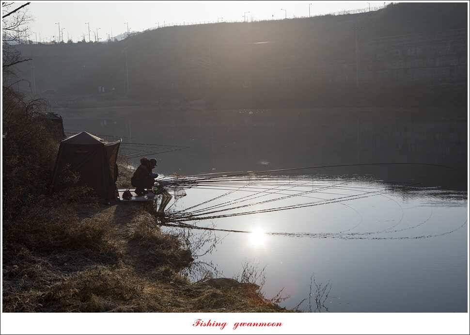 화곡지 마릿수 월척 조황 (조황조행기 - 특파원조황)