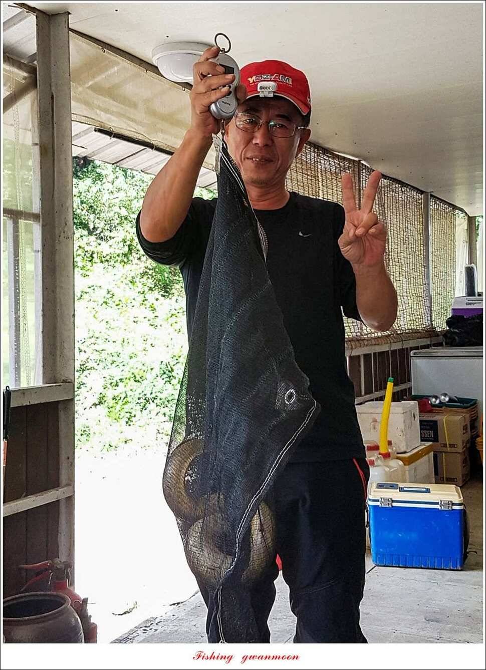 윤 낚시터 41 cm 늘푸른 16 kg 장어실리곡 37 cm한버들 월척 조황 (조황조행기 - 특파원조황)