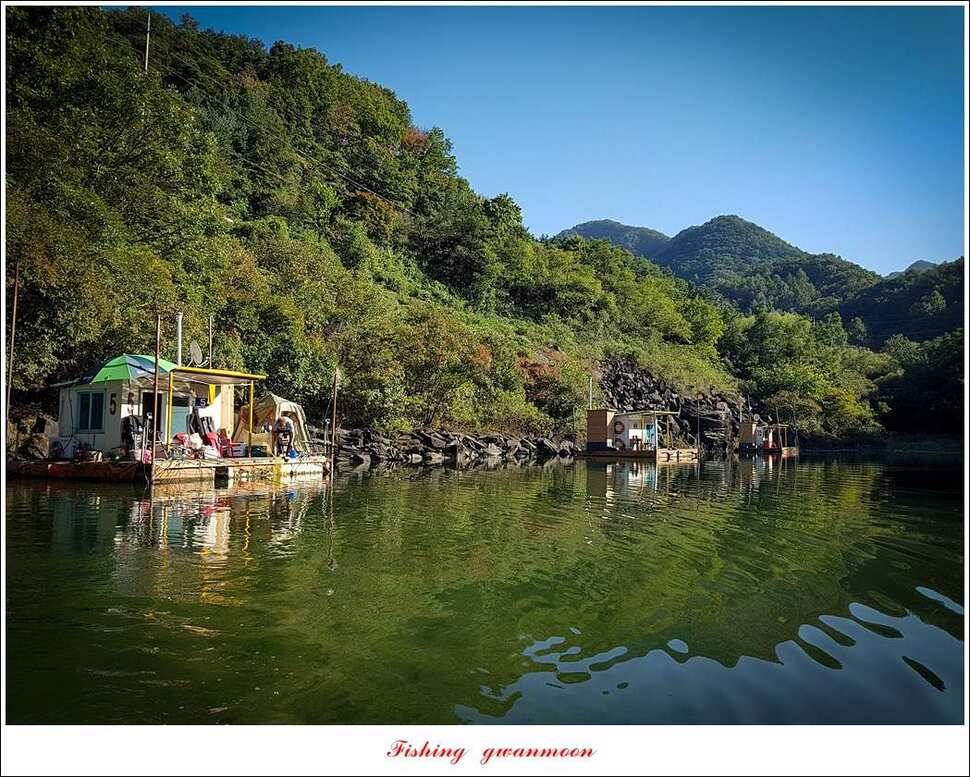 늘푸른 사짜 및 장어신리실리곡달천강 조황 (조황조행기 - 특파원조황)