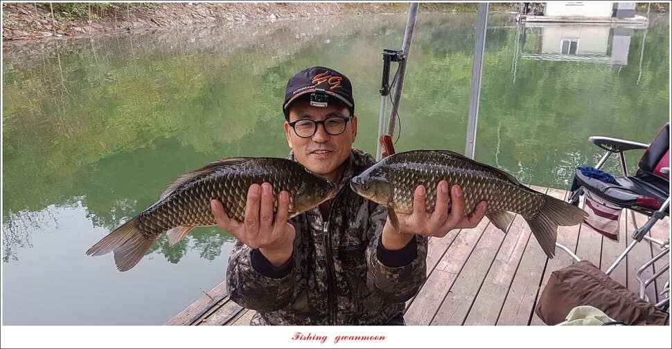 청풍 신리 사짜실리곡제일화곡지 사짜 조황 (조황조행기 - 특파원조황)