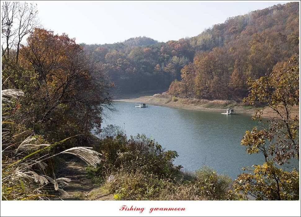 화곡지한버들돌감실리곡신매 조황 (조황조행기 - 특파원조황)