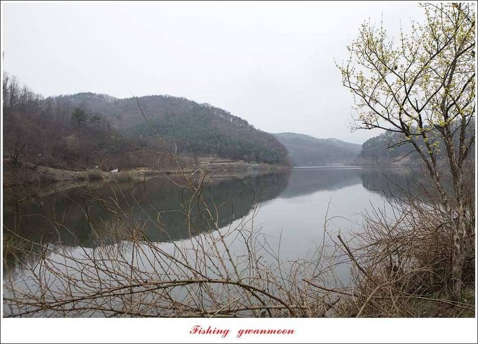 충주호 첫 붕어달천강 월척 (조황조행기 - 특파원조황)