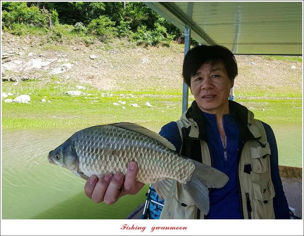 돌감 사짜한버들실리곡청풍 신리 월척 조황 소식 (조황조행기 - 특파원조황)
