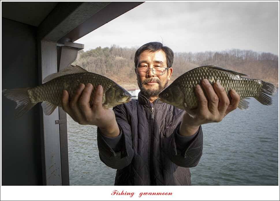 제일 낚시터 월척 조황 (조황조행기 - 특파원조황)