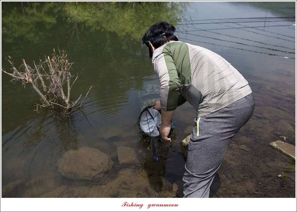 추평지 사짜병호 38 cm돌감한버들 실리곡 월척 조황 (조황조행기 - 특파원조황)