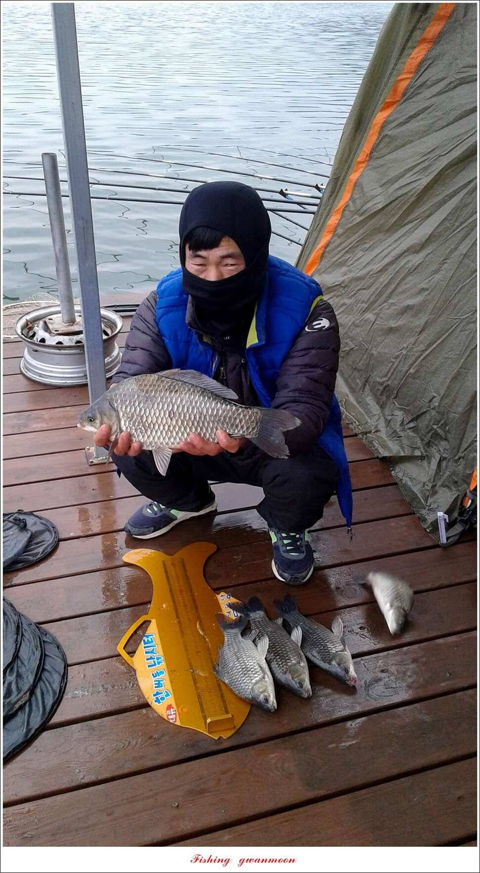 한버들 38 cm 및 마릿수 월척 실리곡 월척 조황 (조황조행기 - 특파원조황)