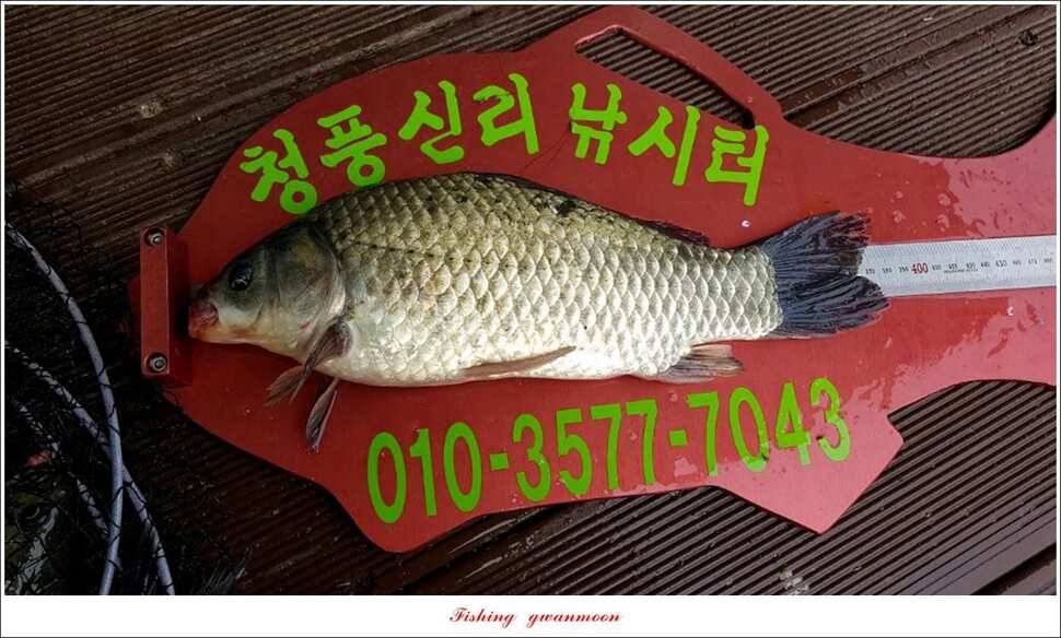 병호돌감실리곡신리칠성지매전지 조황 (조황조행기 - 특파원조황)