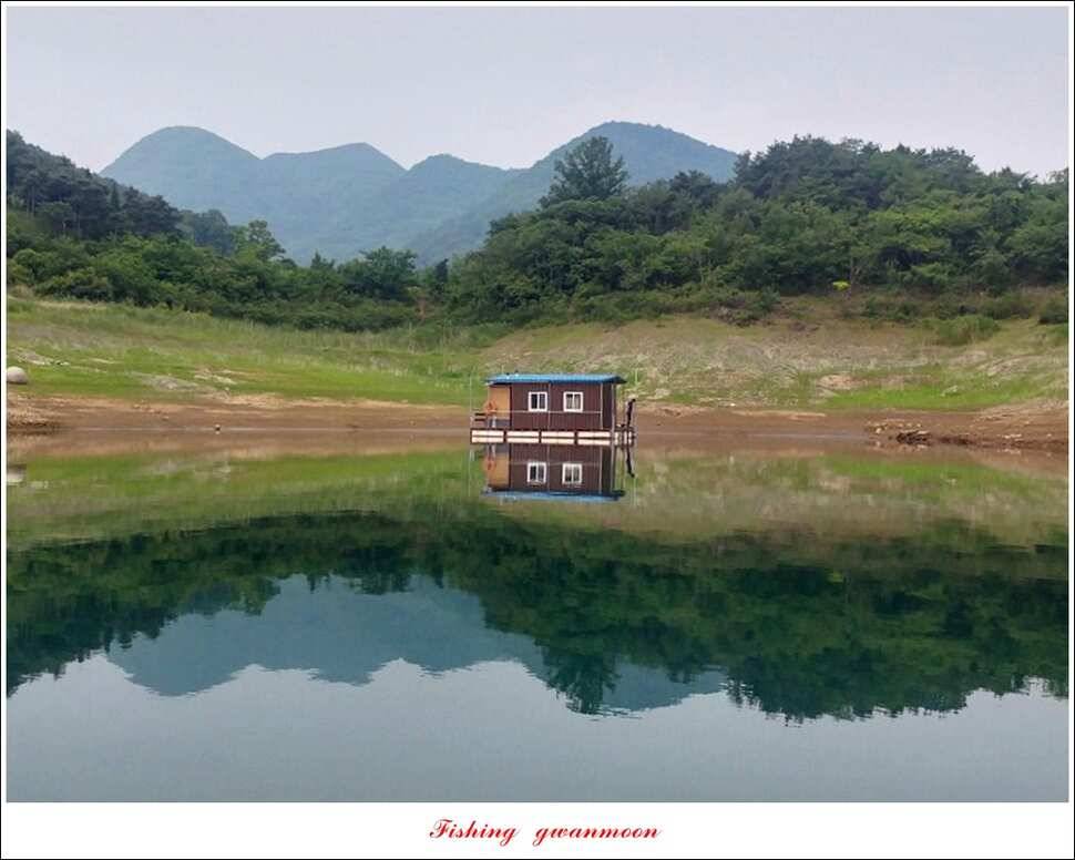 청풍 신리돌감 좌대 월척 조황 추평지 소식 (조황조행기 - 특파원조황)