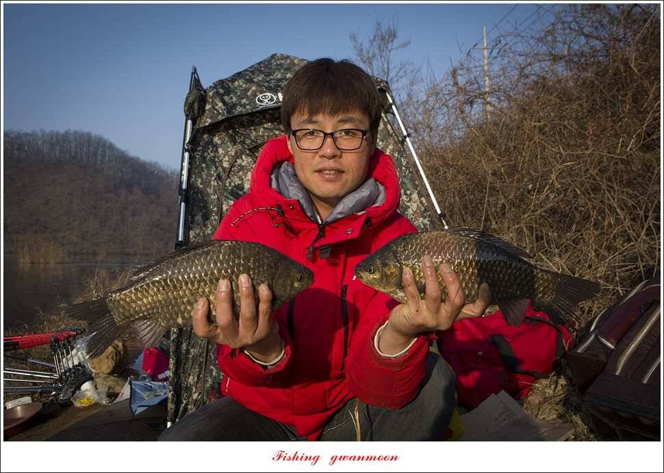 화곡지 마릿수 월척 조황 (조황조행기 - 특파원조황)