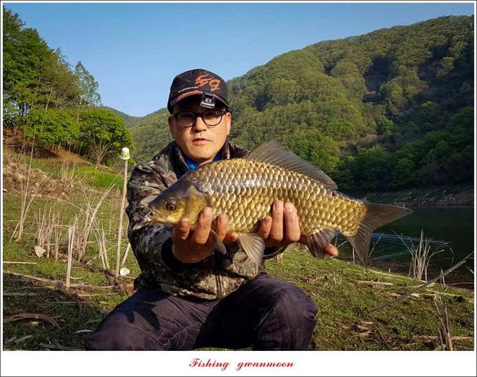 한버들 45 cm 외 사짜사짜 대박 (조황조행기 - 특파원조황)