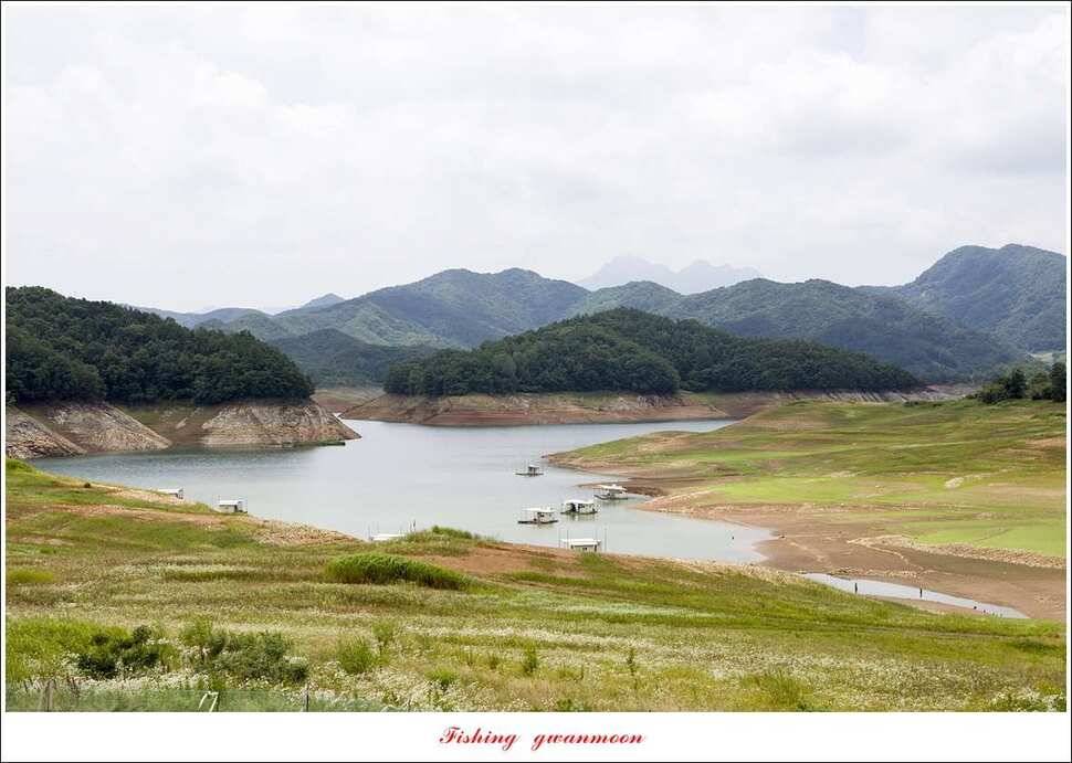 충주호 오름수위 (조황조행기 - 특파원조황)