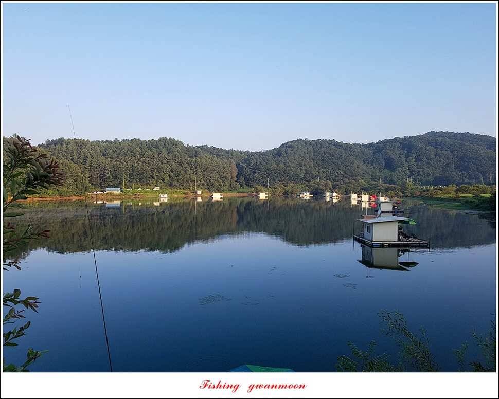 화곡지서유석 장어신리실리곡 월척 조황 (조황조행기 - 특파원조황)
