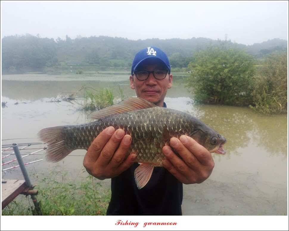 병호돌감실리곡신리칠성지매전지 조황 (조황조행기 - 특파원조황)