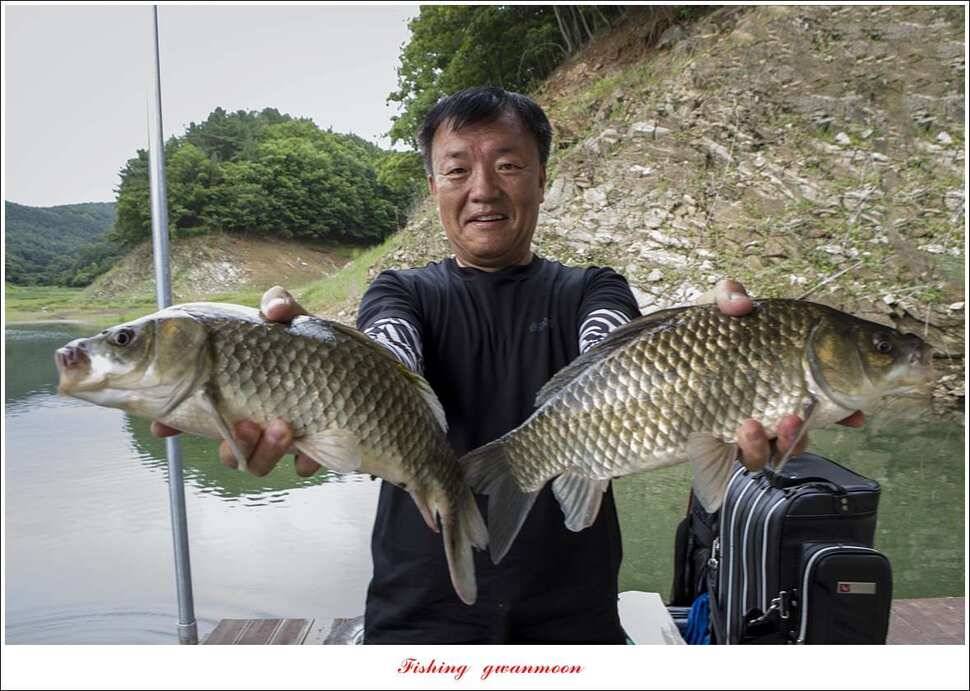 충주호 오름수위 대박 조황 (조황조행기 - 특파원조황)