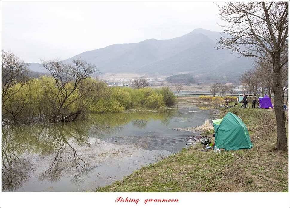 실리곡화곡지달천강 마릿수 월척외 조황 (조황조행기 - 특파원조황)