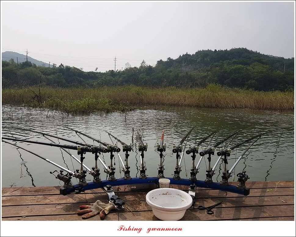 병호실리곡달천강 월척 및 마릿수 조황 (조황조행기 - 특파원조황)
