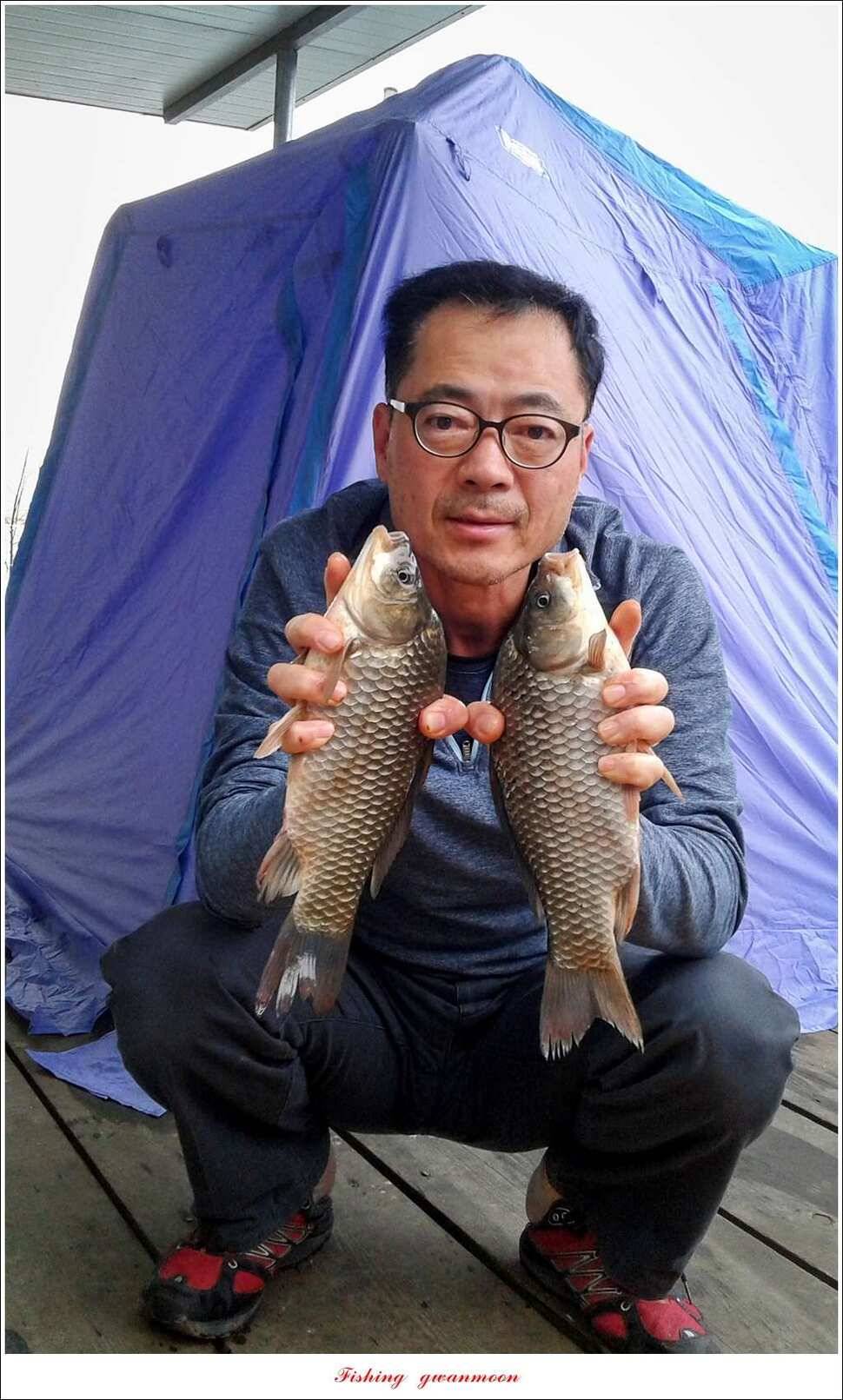 돌감 42cm한버들늘푸른병호달천강 월척 조황 (조황조행기 - 특파원조황)
