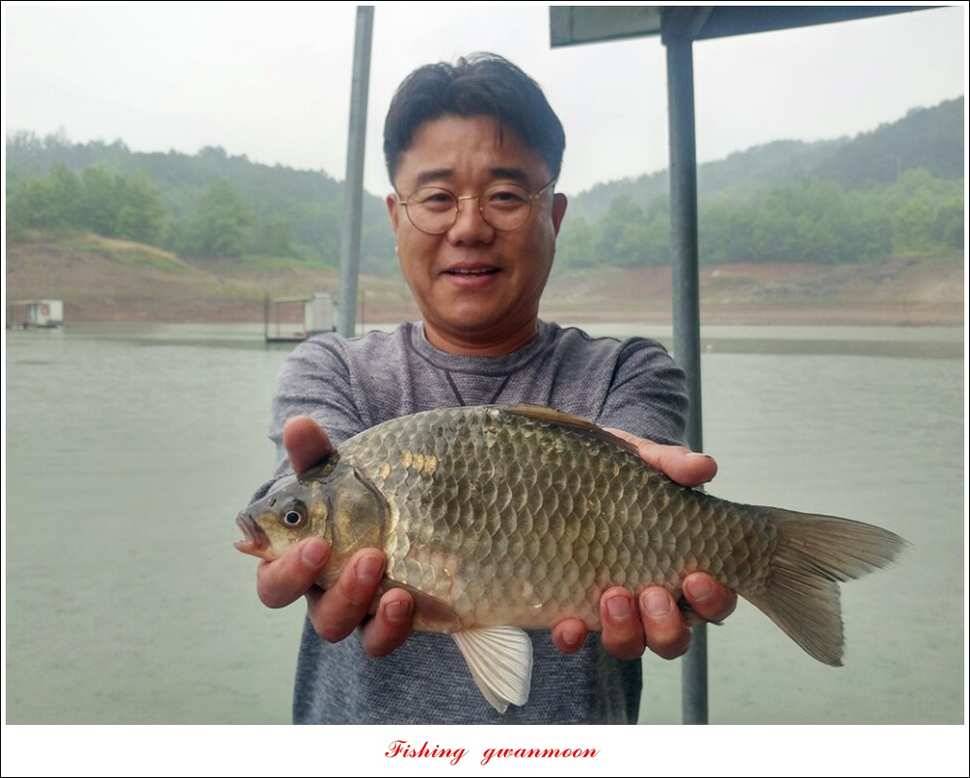 화곡지 사짜돌감 월척 (조황조행기 - 특파원조황)