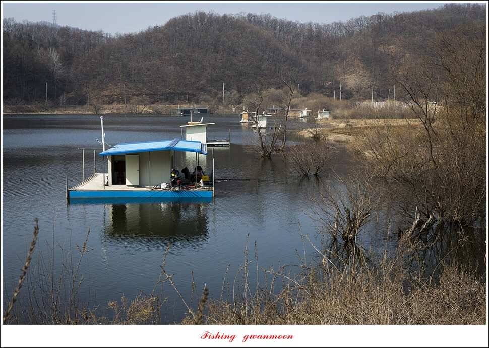 화곡지 마릿수 월척 조황 (조황조행기 - 특파원조황)