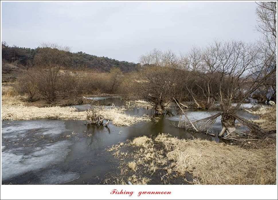 충주괴산권 물낚시 (조황조행기 - 특파원조황)