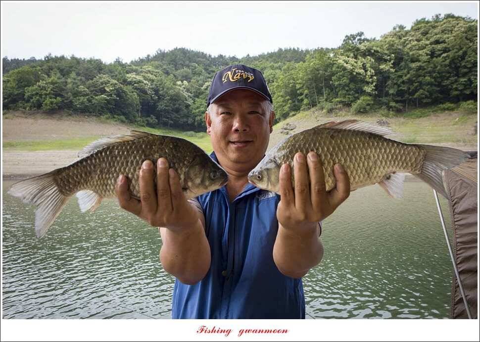 신매돌감화곡지 월척 조황 (조황조행기 - 특파원조황)