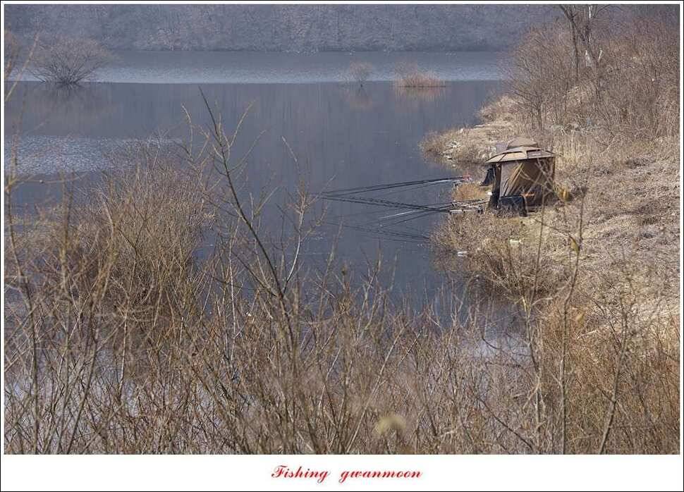 달천강 마릿수 월척화곡지 월척 (조황조행기 - 특파원조황)