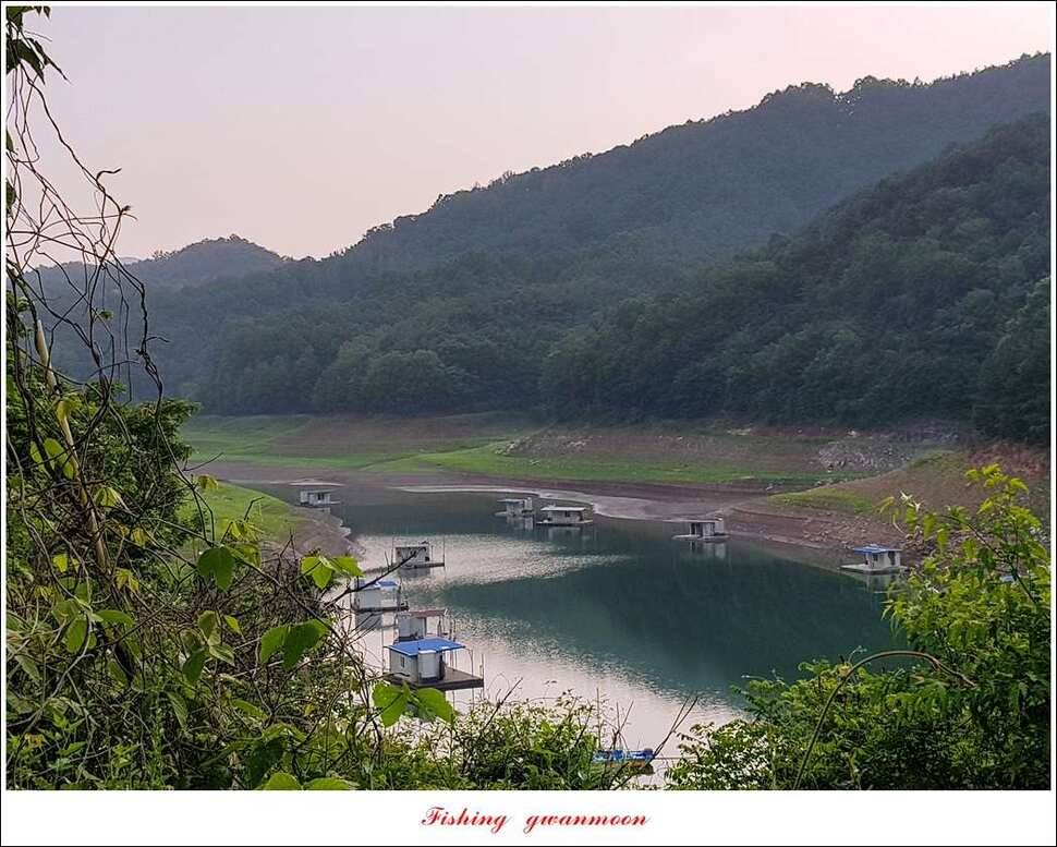 추평지 사짜병호 38 cm돌감한버들 실리곡 월척 조황 (조황조행기 - 특파원조황)