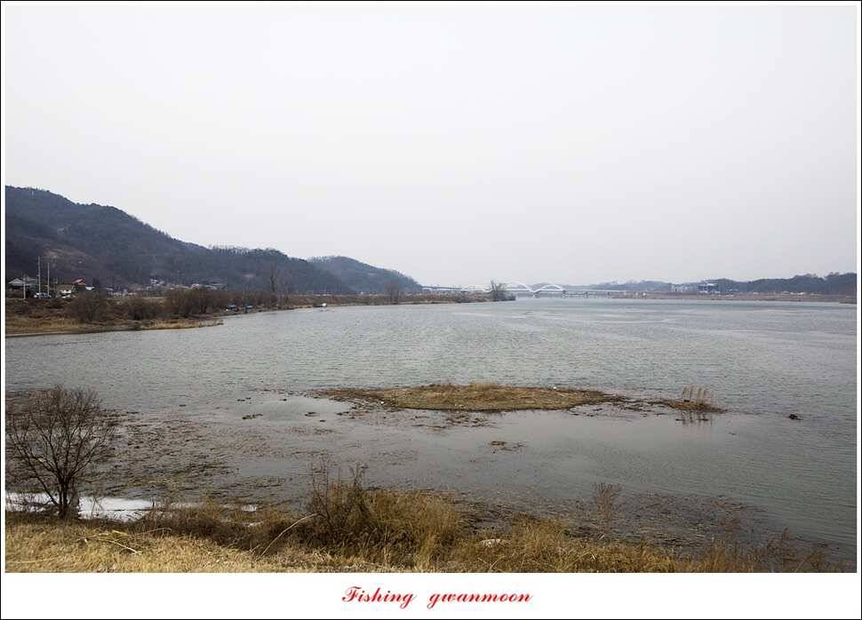 충주괴산권 물낚시 (조황조행기 - 특파원조황)