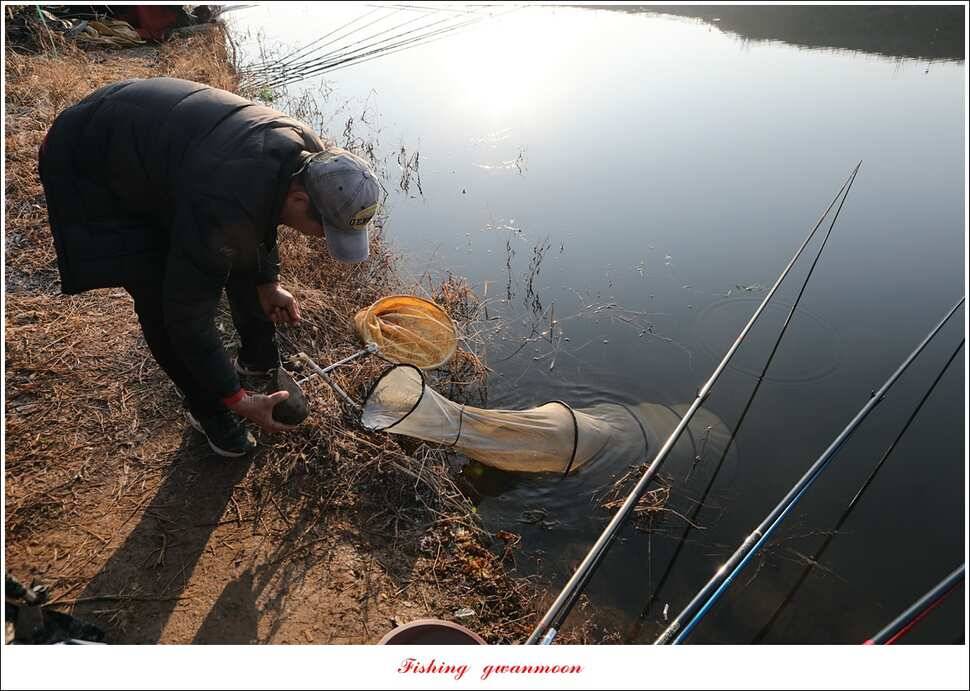 화곡지 마릿수 월척 조황 (조황조행기 - 특파원조황)