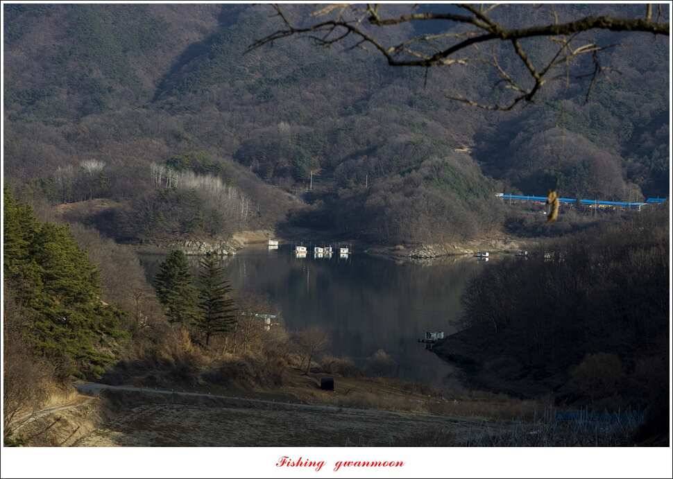 화곡지 사짜 및 마릿수 월척 조황 (조황조행기 - 특파원조황)