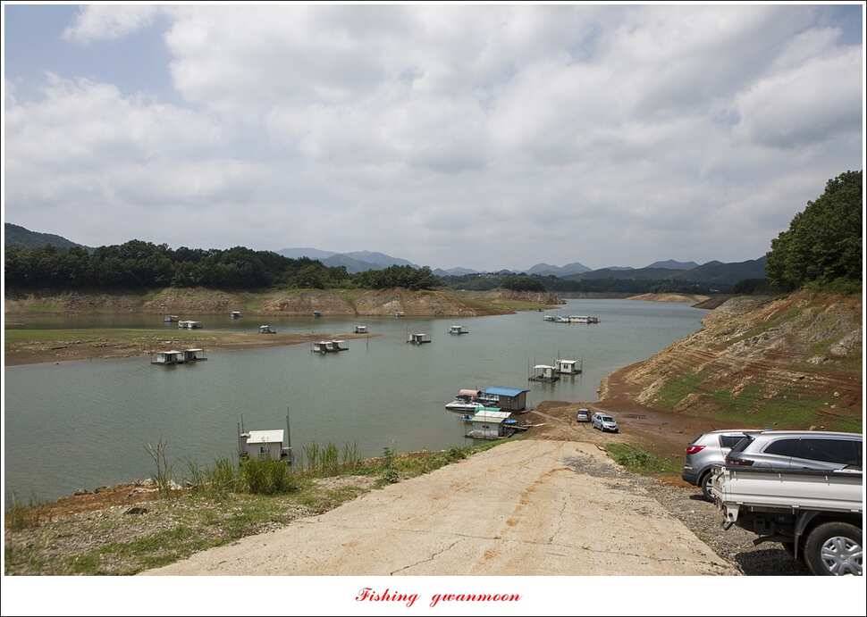 충주호 오름수위 (조황조행기 - 특파원조황)