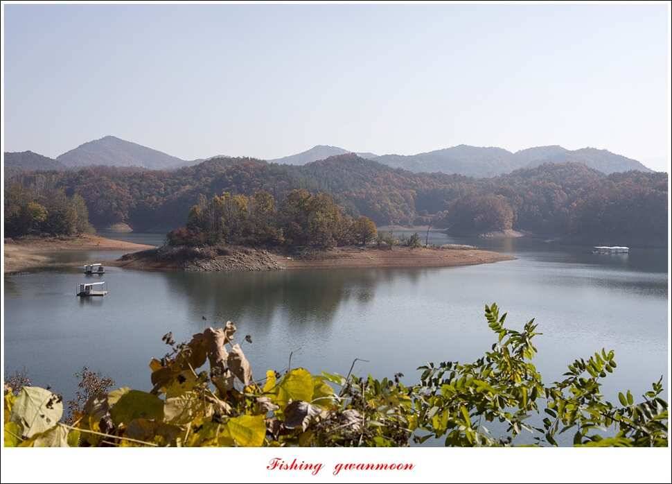 화곡지한버들돌감실리곡신매 조황 (조황조행기 - 특파원조황)