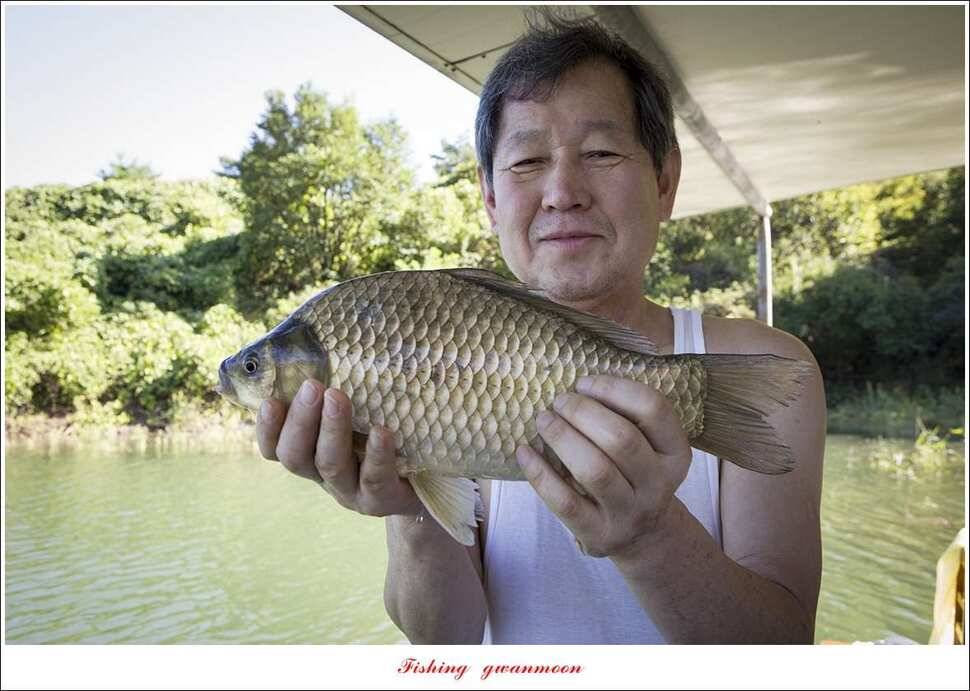 돌감 마릿수 월척실리곡 마릿수 월척칠성지소이지 월척 조황 (조황조행기 - 특파원조황)