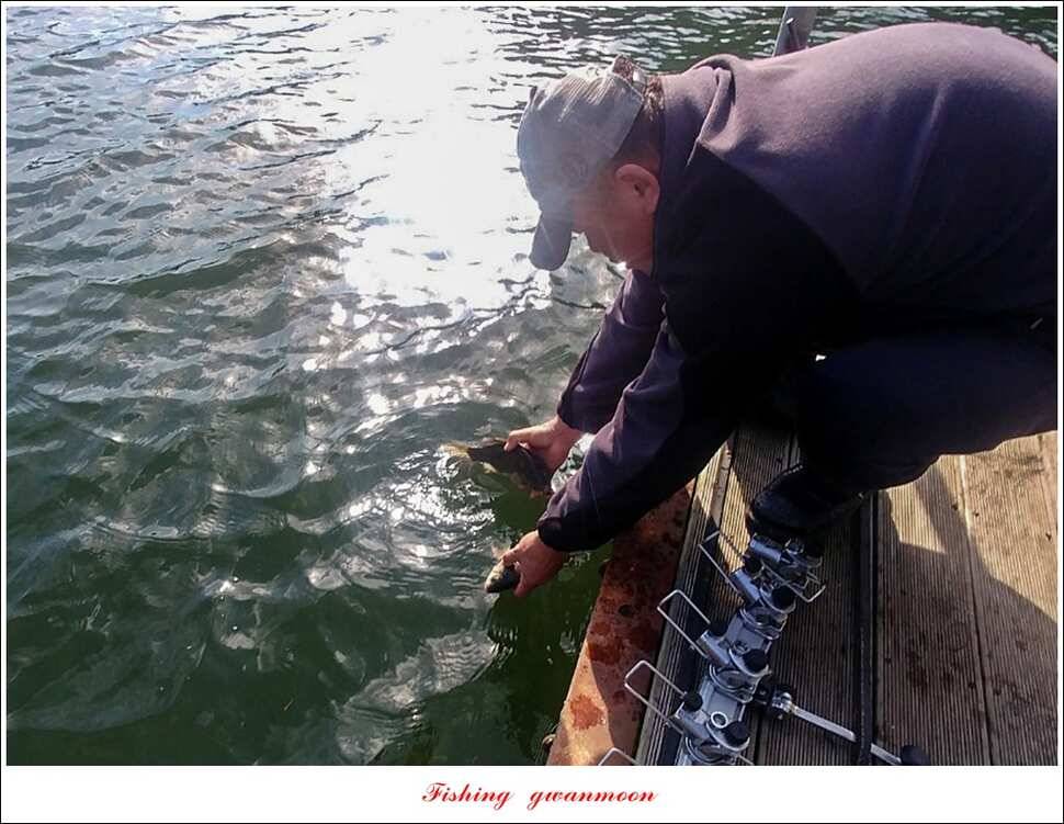 신매 허리급 한버들 월척 조황 (조황조행기 - 특파원조황)