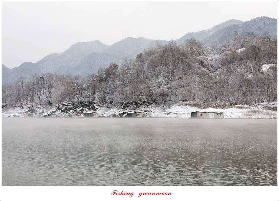 제일 47 cm 대물실리곡한버들 마릿수 월척 조황 (조황조행기 - 특파원조황)