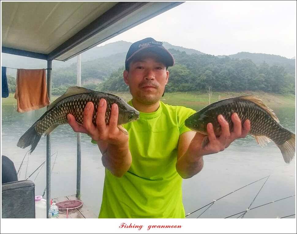 신매 435 cm 혹부리 대물돌감좌대 월척 조황 (조황조행기 - 특파원조황)