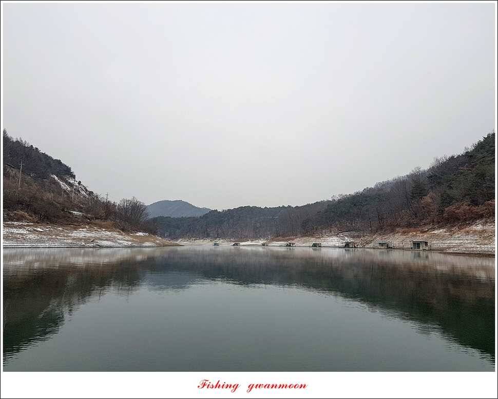 실리곡 마릿수 월척 조황 (조황조행기 - 특파원조황)
