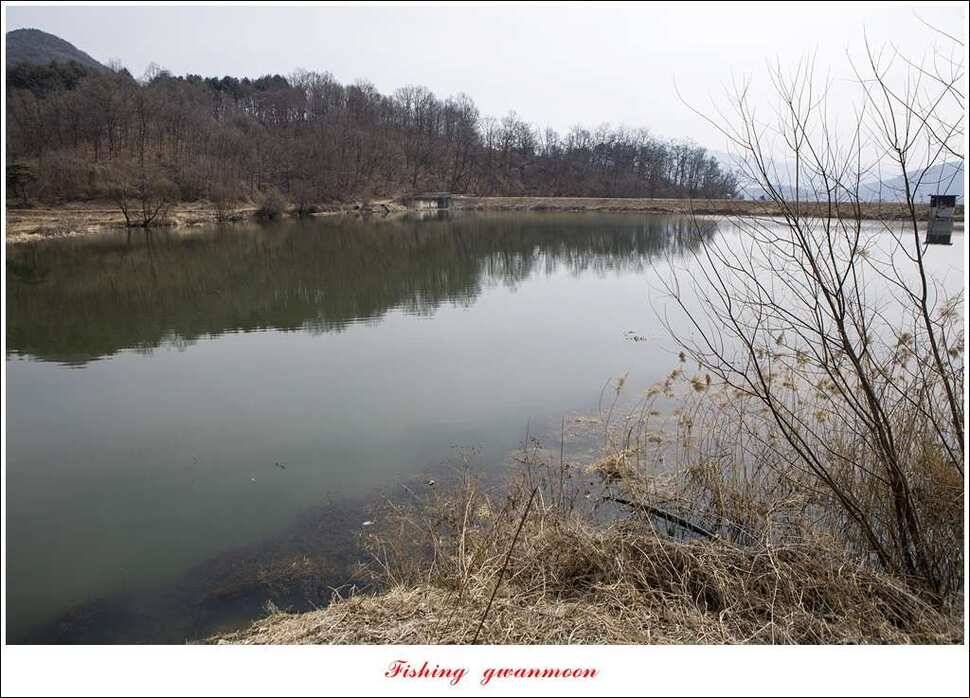 충주괴산권 물낚시 (조황조행기 - 특파원조황)