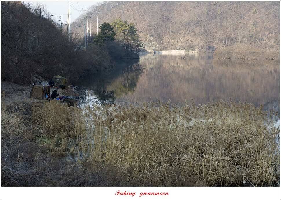 화곡지 마릿수 월척 조황 (조황조행기 - 특파원조황)