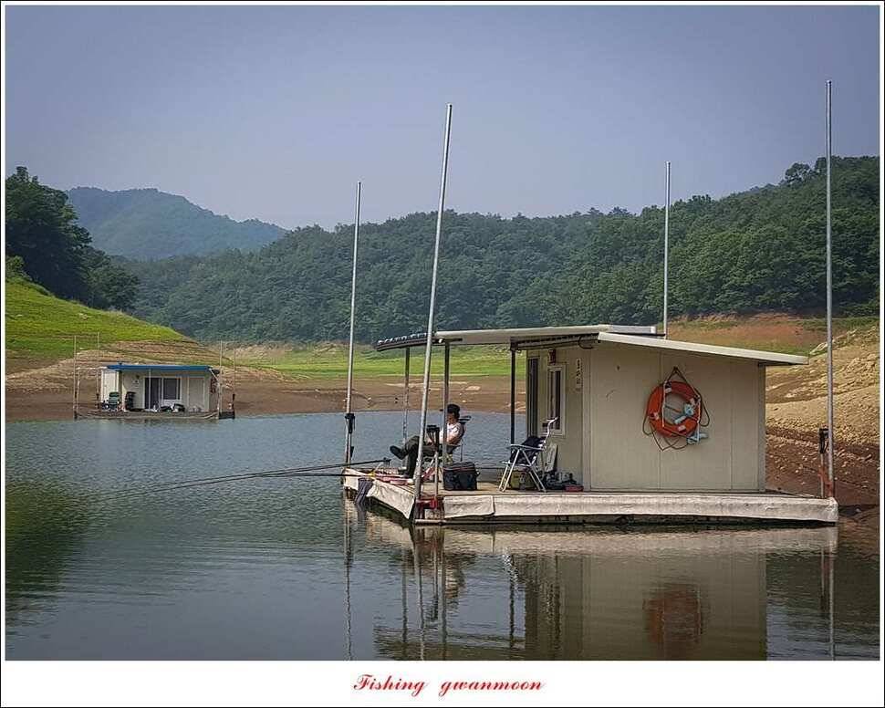 병호 45cm실리곡신리노지 월척 조황 (조황조행기 - 특파원조황)