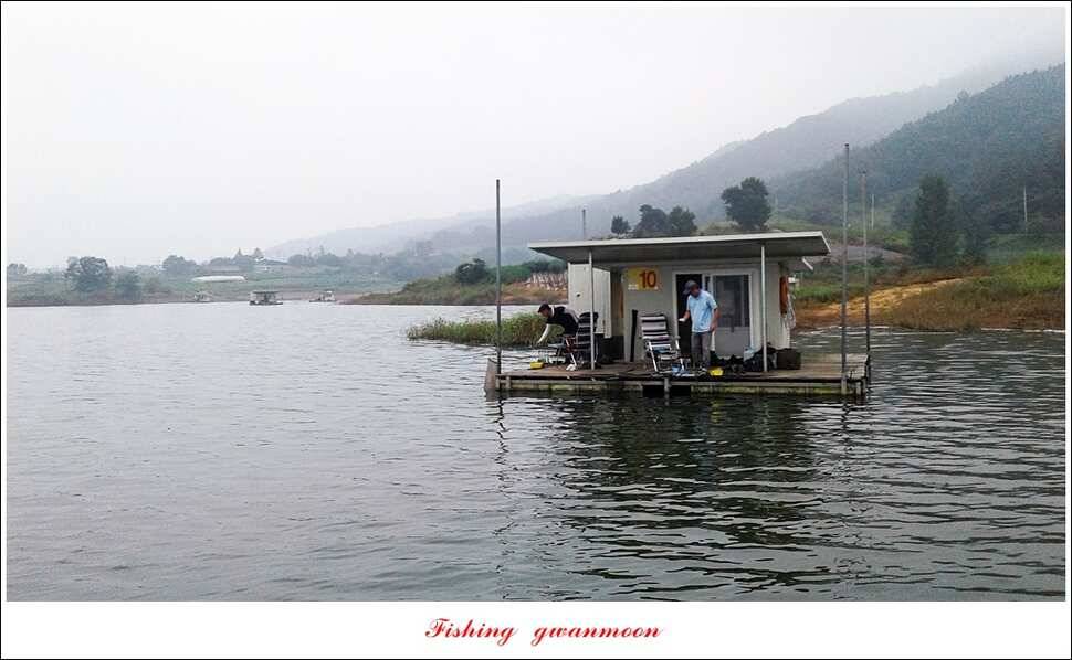 늘푸른실리곡한버들노지 조황 (조황조행기 - 특파원조황)
