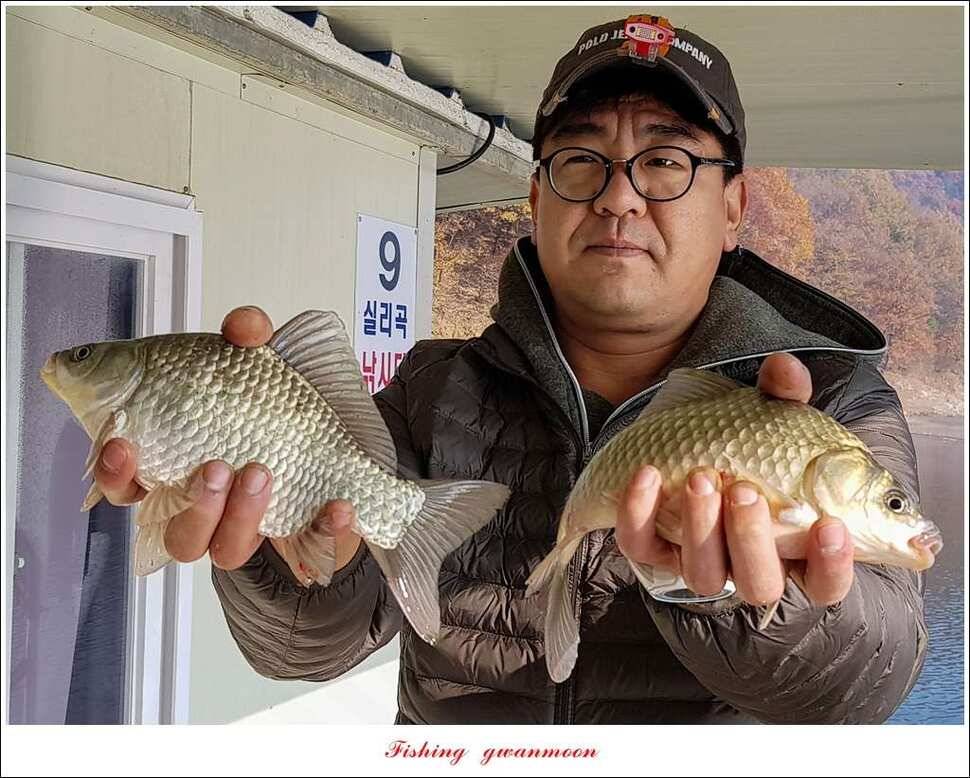 화곡지한버들돌감실리곡신매 조황 (조황조행기 - 특파원조황)