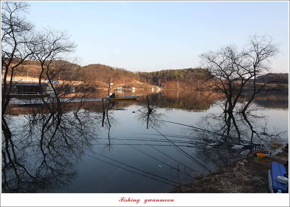 화곡지 마릿수 월척 조황 (조황조행기 - 특파원조황)